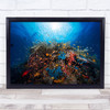 Apnea Underwater Lagoon Reef Ocean Sea Fish Coral Corals Wall Art Print