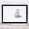 Arctic Fox Animal Animals Wildlife Wild Nature Wall Art Print