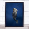Candle Sperm Whale Underwater Cetacea Cachalot Mauritius Deep Wall Art Print