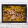 Charm Lioness Lion Nature Wildlife Kenya Hug Embrace Cub Cute Wall Art Print