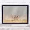 Dust Devils Nature Animal Wildlife Giraffe Savannah Africa Wall Art Print