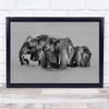 Elephant River Animal Animals Water Elephants Wildlife Wild Art Print