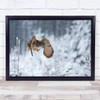 Eurasian Eagle-Owl Owl Eagle Bird Nature Wildlife Wild Animal Flight Art Print