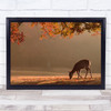 First Autumn Deer Nara Japan Asia Park Fall Leaves Leaf Wall Art Print