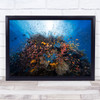 Fish Underwater Sea Ocean Reef Lagoon Wall Art Print