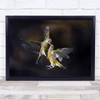 Flying Kiss 11 Nature Bird Fly Flight Wings Action Animal Fight Wall Art Print