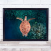 Flying over the reef Turtle Underwater Wildlife Ocean Sea Green Wall Art Print