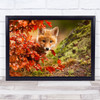 Fox Nature Animal Wildlife Cub Baby Young Cute Wall Art Print