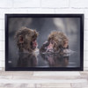 Friends Nature Animal Wildlife Monkey Ape Couple Friend Friendship Art Print