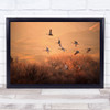 Golden Time Cranes Flight Formation Flying Wildlife Sunset Wild Art Print