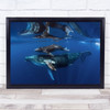 Humpback Whales Marine Mammal Cetacean Underwater Wall Art Print