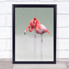 Just We Two Nature Animals Red Flamingo Bird Animal Wildlife Art Print