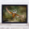 kingfisher Martino Bird Fish Fishing Speed Wings Catch Birds Wall Art Print