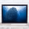 Mass Giant Fish Ocean Animal Wild Nature Underwater Schooling Wall Art Print
