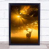 Nature Animal Deer Morning Fog Sunlight Wildlife Silhouette Wall Art Print