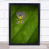 Nature Frame Leaves Insect Bug Mantis Yellow Green Wildlife Wall Art Print