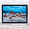 Octopus Underwater Pieuvre Ocean Sea Reef Surface Bottom Sand Wall Art Print