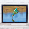 Pinpoint Wildlife Wild Nature Animal Animals Bird Birds Water Dive Art Print
