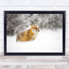 Red fox in a heavy snowstorm Vulpes Snow Winter Ice Cold Wall Art Print