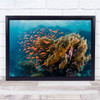 Reefscape Underwater Fish Reef Coral Corals Water Bottom Wall Art Print