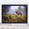 Scream In The Rain Wildlife Nature Animals Antlers Deer Stag Cry Wall Art Print