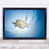 Sea Turtle Green Underwater Wildlife Ocean Turle Wall Art Print