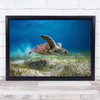 Take Off Turtle Underwater Green Sea Mayotte Island France Wall Art Print