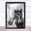 The Foal Pony Horse Mother Love Animal Parenthood Young Cute Wall Art Print