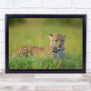 The Leopard Wildlife Kenya Africa Masai Mara Safari Feline Wild Wall Art Print