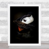 The Shy Puffin Animal Animals Cute Beak Feather Feathers Dark Low Wall Art Print