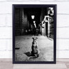 The Wait Street Dog Pet People Look Looking Watching Rome Wall Art Print