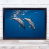 Two Bottlenose Dolphin Ocean Sea Underwater Cetacea Cetacea Wildlife Art Print