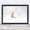 Waiting Fox Winter Forest Snow Cold Frost Frozen Happy Holidays Wall Art Print