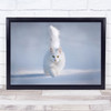 Yellow Eyes Cat Snow White Pet Animal Nowords Winter Cold Wall Art Print