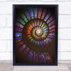 Colour Colours Colourful Rainbow Mosaic Window Windows Glass Spiral Art Print