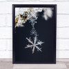 Pendant Ice Frost Snow Winter Rime Frozen Snowflake Flake Wall Art Print