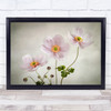 Anemones Flowers Flower Anemone Trio Texture Summer Wall Art Print