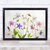 Columbine Aquilegia Granny Bonnet Summer Graphic Flower Bloom Wall Art Print