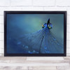 Dancing Into The Blue Night Water Drops Feather Dew Droplets Drop Art Print