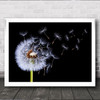 Dandelion Blowing Abstract Blossom Dandelions Flower Flying Wall Art Print
