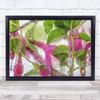 Fuchsia Freeze Flower L Cold Red White Green Pink Wall Art Print