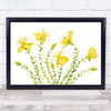 Hypericum Yellow Summer Flower White Wall Art Print