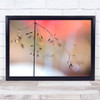 Morning Glow L Drop Droplet Pearl Drops Water Wall Art Print