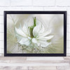 Nigella Flower L Delicate White Petals Bokeh Wall Art Print