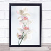 Pale Beauty Flower Orchid Flowers Petals Wall Art Print
