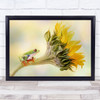 Red Eyed Tree Frog on a Sunflower Flower Amphibian Little Animal Wall Art Print
