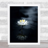 Reflection Zen Flower Water Lily Lilies Flowers l Wall Art Print