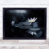 Reflection Zen Spa Flower Flowers L Water Blossom Bloom Wall Art Print