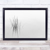 Reflections Minimalism Simple Water Lake Reed Grass Empty Wall Art Print