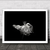 Tulip Flower Monochrome Simple Simplicity Dark Wall Art Print